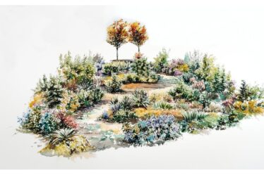 a-giarre-torna-la-biennale-del-paesaggio-mediterraneo
