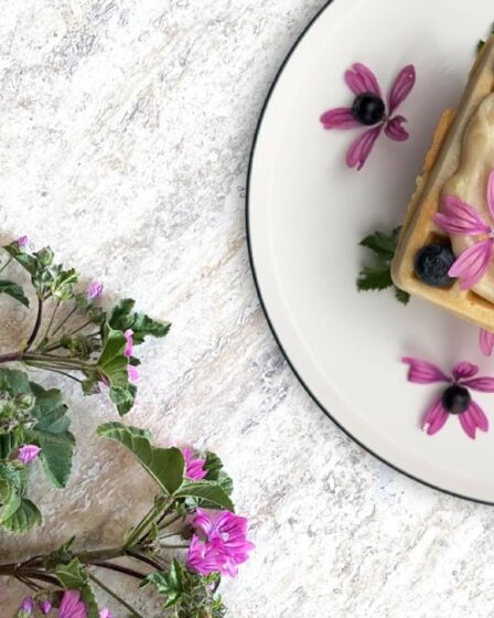 ci-vuole-un-fiore-(anche-in-cucina!):-la-malva