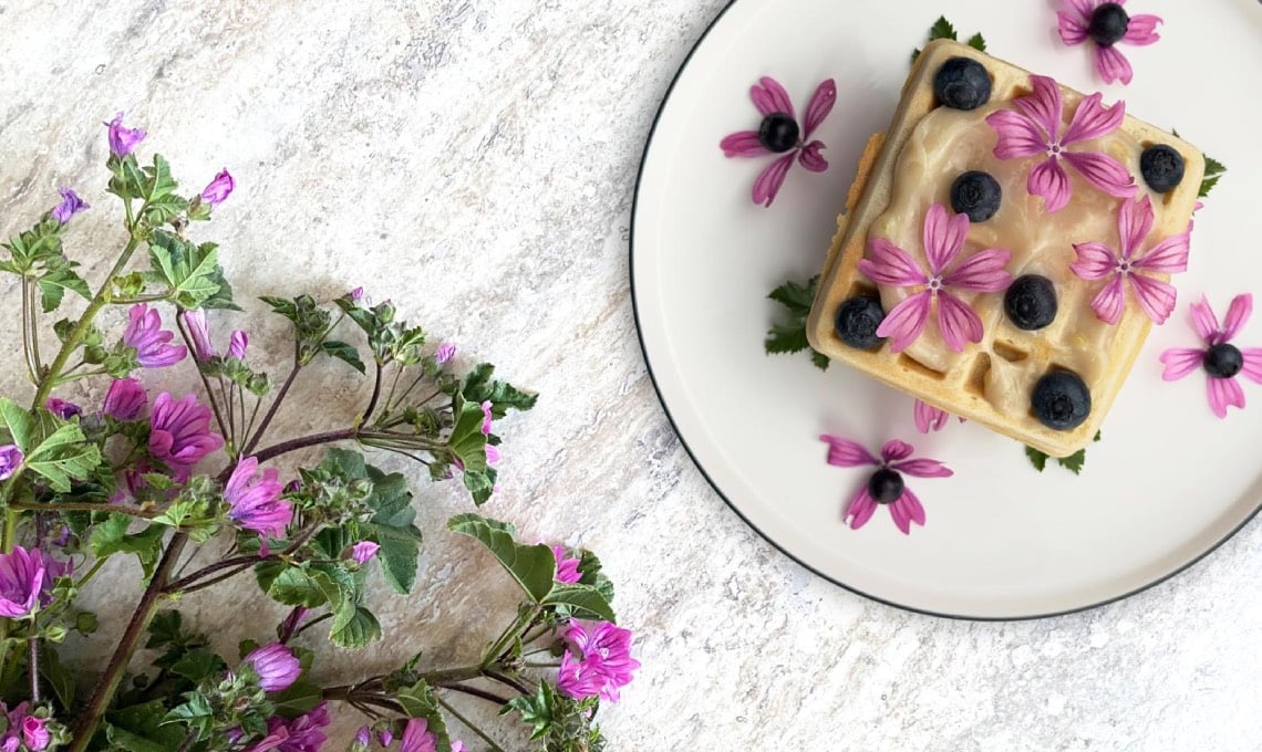 ci-vuole-un-fiore-(anche-in-cucina!):-la-malva