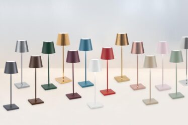 icone-del-design:-poldina