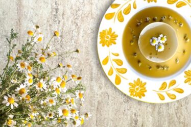 ci-vuole-un-fiore-(anche-in-cucina!):-la-camomilla