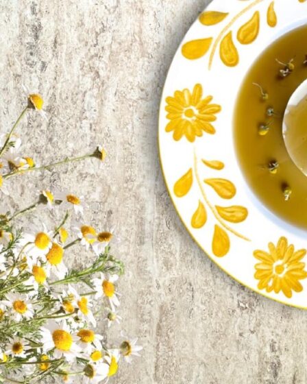 ci-vuole-un-fiore-(anche-in-cucina!):-la-camomilla
