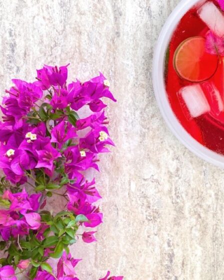 ci-vuole-un-fiore-(anche-in-cucina!):-la-bougainvillea