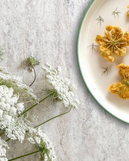 ci-vuole-un-fiore-(anche-in-cucina!):-la-carota-selvatica