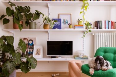 a-treviso-un-appartamento-lievemente-retro,-a-misura-di-pets