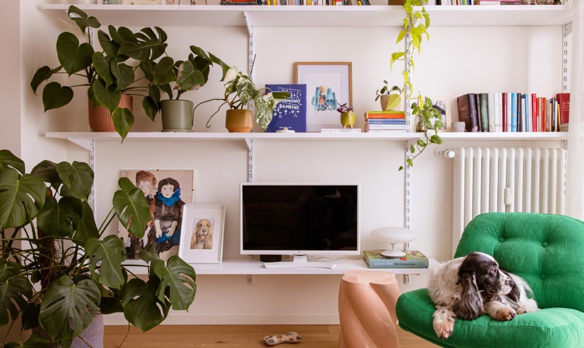 a-treviso-un-appartamento-lievemente-retro,-a-misura-di-pets