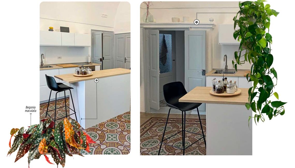 progettare-il-verde-indoor:-casa-esposta-a-sud