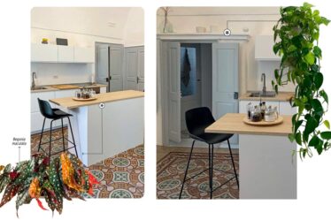 progettare-il-verde-indoor:-casa-esposta-a-sud