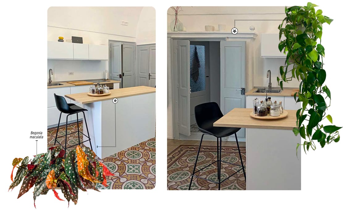 progettare-il-verde-indoor:-casa-esposta-a-sud