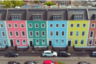 pareti-a-prova-di-muffa-e-antimacchia:-le-pitture-tecniche-oggi-sono-anche-colorate!