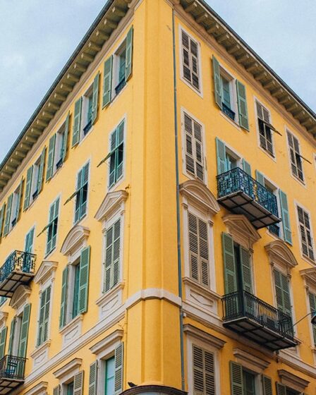 reti-contro-i-piccioni-in-facciata:-regole-e-ripartizione-spese-in-condominio