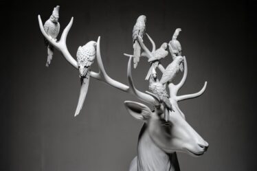 marcantonio-in-mostra-a-ravenna:-oltre-50-opere-tra-arte-e-design